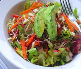 The Cold Zapper cold zapper salad